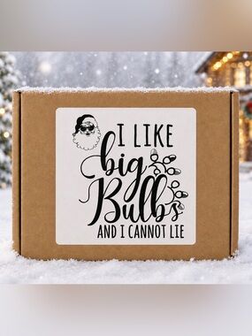 Funny Festive Christmas Stickers 3”x3”-100ct.